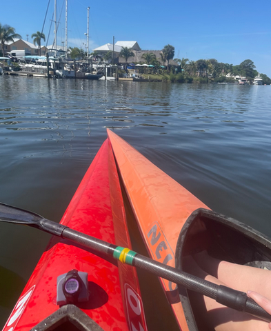 My Florida Experience by Abigail Ndegwa